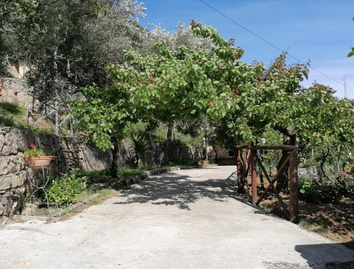 Villa Incanto B&B Caprioli Exterior photo