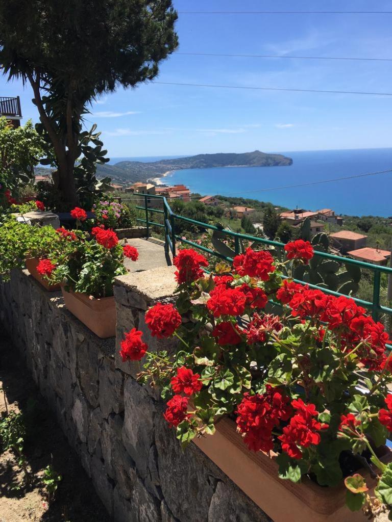 Villa Incanto B&B Caprioli Exterior photo