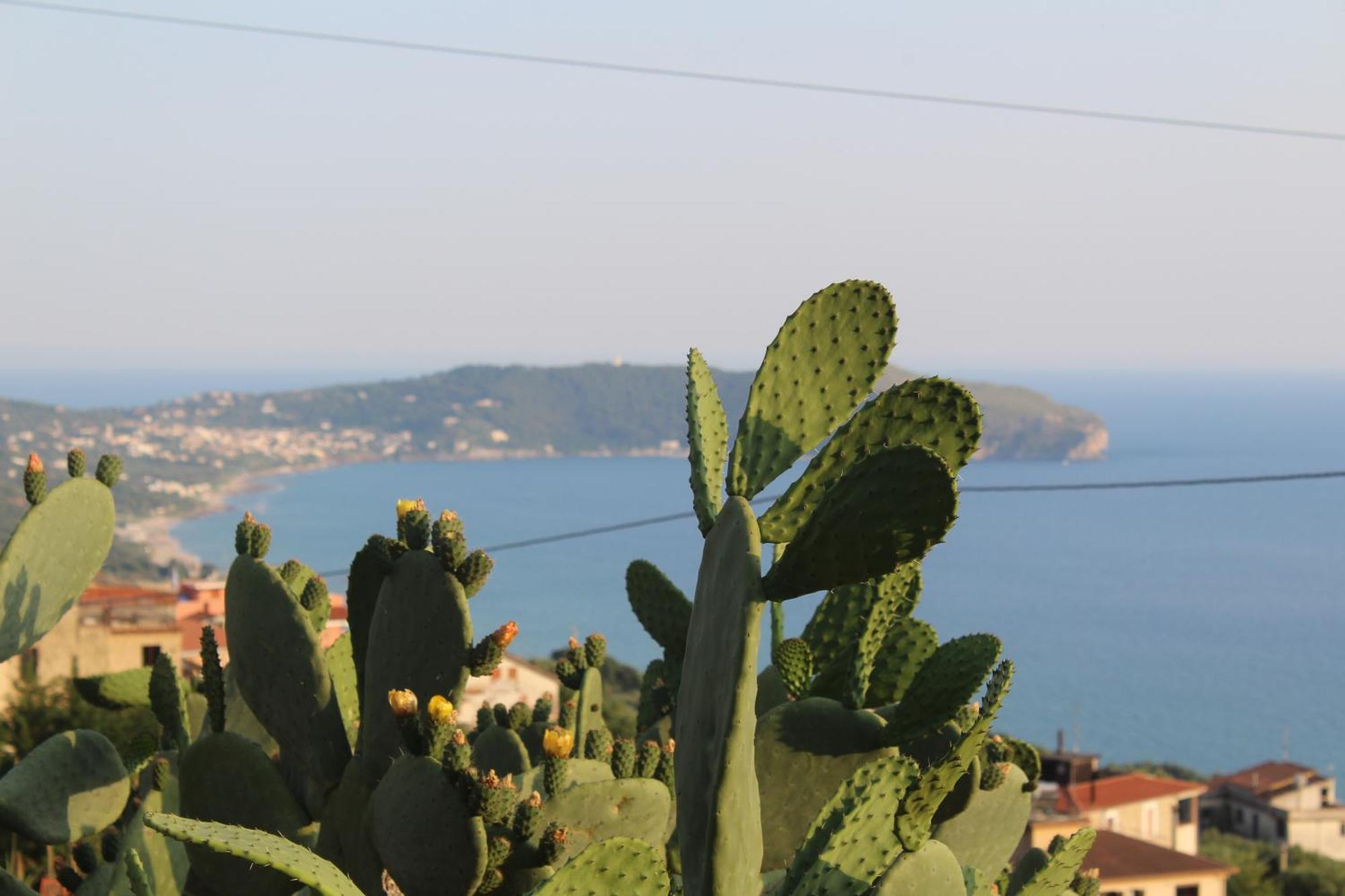 Villa Incanto B&B Caprioli Exterior photo