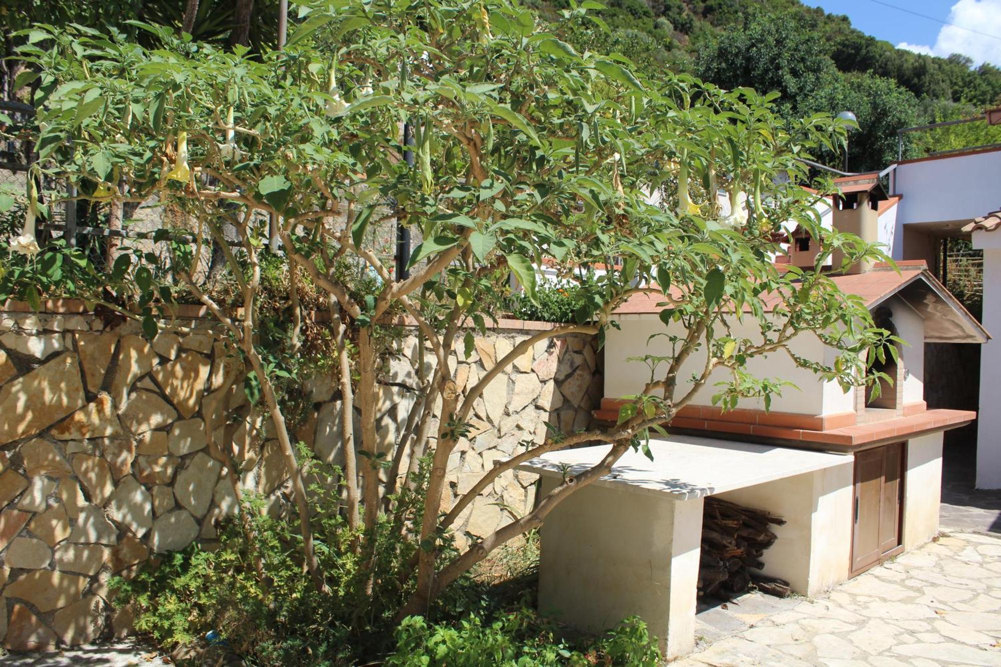 Villa Incanto B&B Caprioli Exterior photo